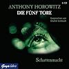 Die f�nf Tore 03. Schattenmacht