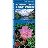 Montana Trees & Wildflowers: A Folding Pocket Guide to Familiar Species (Pocket Naturalist Guide Series)