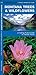 Montana Trees & Wildflowers: A Folding Pocket Guide to Familiar Plants (Nature Observation North America)