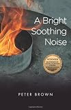 A Bright Soothing Noise (Katherine Anne Porter Prize in Short Fiction)