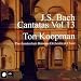 Bach - Kantaten Vol.13 / Ton Koopman [BOX SET]