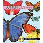 Butterflies (Book and CD Rom) by Dover