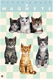 Mixed Kittens Gift Set of 4 Magnets
