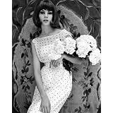 Jean Shrimpton wearing a dress, photo John French (Print On Demand)