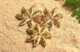 Gold plated brooch, 'Amazon Bouquet'