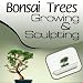 How to Grow and Sculpt Bonsai Trees