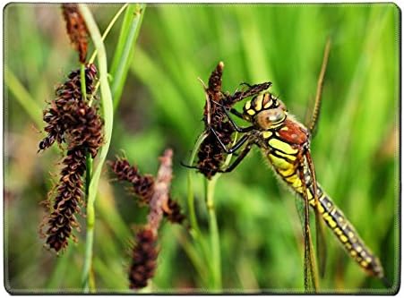 sting sprinkle plant green yellow brown gift QZone Placemat Pads Customized Made To Order Support Ready 15 6/8 Inch (400mm) X 11 13/16 Inch (300mm) X 1/8 Inch (3mm) High Quality Eco Friendly Cloth With Neoprene Rubber