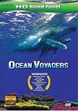 Ocean Voyager