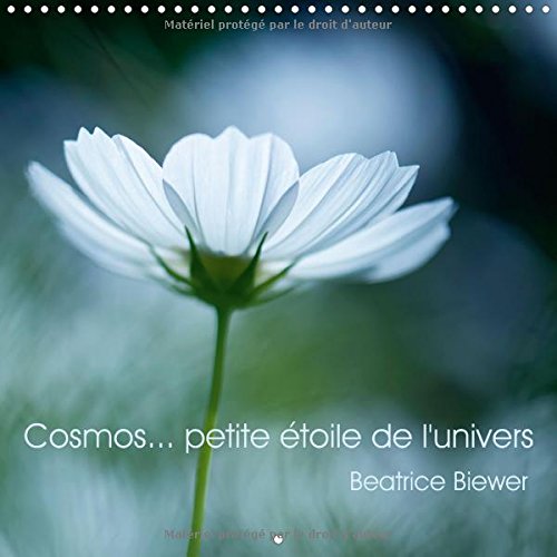 Cosmos... Petite Etoile de l'Univers 2016: Une Jolie Fleur Toute en Legerete (Calvendo Nature) (French Edition)
