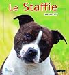Le Staffie ou le staffordshire bull terrier