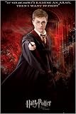 Posters: Harry Potter Poster - And The Order Of The Phoenix, Solo (36 X 24...