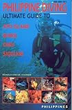 Philippine Diving: Ultimate Guide to Apo Island, Bohol, Cebu, Siquijor