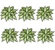 Six 12" Dieffenbachia Artificial Greenery Bushes
