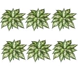 Six 12" Dieffenbachia Artificial Greenery Bushes