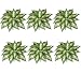 Six 12" Dieffenbachia Artificial Greenery Bushes