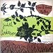 The Poetry Of  Edna St. Vincent Millay  Read By Judith Anderson