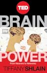 Brain Power: From Neurons to Networks...