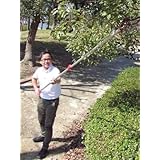 ���i�̏ڍ�