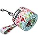 Blueberry Pet Durable The Cherry Garden Turquoise Designer Dog Leash 5 ft x 3/4
