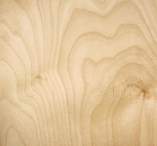 Barc Wood Birch Adhesive Sheet 12X12