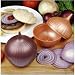 Kitchen & Housewares : Onion saver available in purple or tan
