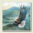 Mountain Patrol New Stone Coaster Set of 4
