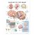 The Anatomy of the Brain