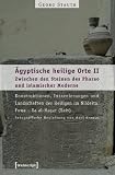 �gyptische heilige Orte II: Zwischen den Steinen des Pharao und islamischer Moderne: Konstruktionen, Inszenierungen und Landschaften der Heiligen im Nildelta: Fuwa - Sa al-Hagar (Sais) - Georg Stauth