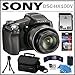 Sony Cyber-Shot DSC-HX100/V 16.2 MP Digital Camera with 30x Optical Zoom and 3D Sweep Panorama + 8GB Accessory Kit