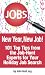 New Year, New Job! 101 Top Tips from Job-Hunt Experts for Your Holiday Job Search: How to Use the Holidays to Advance Your Job Search (NETability's Online Job Search Guides)