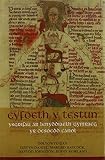 Cyfoeth y testun : ysgrifau ar lenyddiaeth Gymraeg yr Oesoedd Canol
