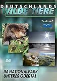 Deutschlands wilde Tiere - Unteres Odertal