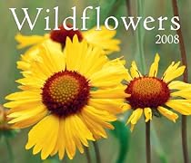 Wildflowers 2008