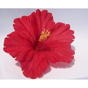 Red Tropical Hibiscus Flower Hair Clip