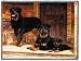 Tapestry Throw - Rottweiler