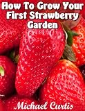 How To Grow Your First Strawberry Garden