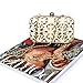 BMC Cut Out Faux Leather Covered See Through Clear Hard Plastic Fashion Clutch