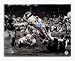 Carl Eller Minnesota Vikings Autographed 16