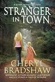 Stranger in Town (A Sloane Monroe Novel, Book Four)