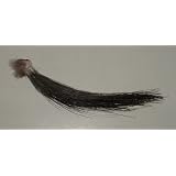 8" Long Turkey Beard (Fly Tying, Crafts)