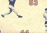 Beige Sport Athletes Toss Wallpaper