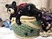 Cookie Jar Bearfootin'