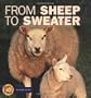 From Sheep To Sweater