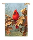 Cardinal & Oak Garden Flag