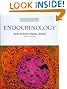 Essential Endocrinology