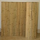 Bamboo Fence 1" X 3