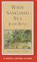 Wide Sargasso Sea (Norton Critical Editions)