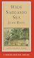 Wide Sargasso Sea