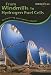 From Windmills to Hydrogen Fuel Cells: Discovering Alternative Energy (Chain Reactions)