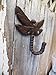 Big Sky Antiques Coat Hat Hooks Cast Iron Dragonfly 4.5 x 5 Inch